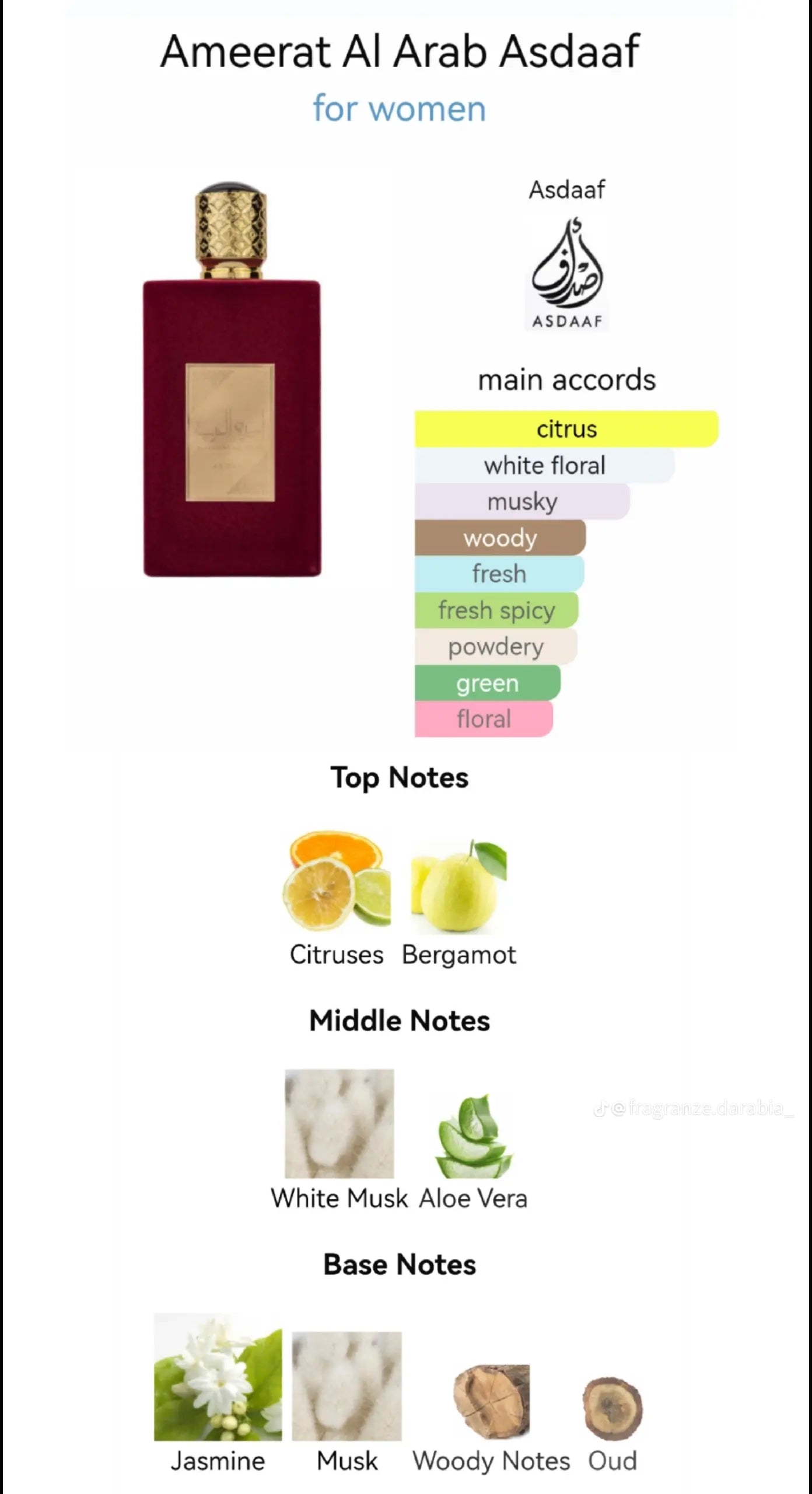 Ameerat Al Arab – Roll-On Parfumöl (10 ml) 2x Verfügbar